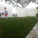 Fake Grass For Playgrounds San Diego, Fake Turf Chula Vista