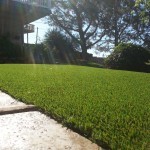San Diego Chula Vista, Astro Turf San Diego