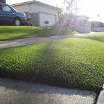 Synthetic Turf In San Diego, Best Artificial Turf In Chula Vista