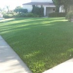 Artificial Turf In Chula Vista, Synthetic Turf In San Diego