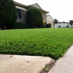 Artificial Grass Chula Vista Prices, Artificial Grass For Playground Chula Vista