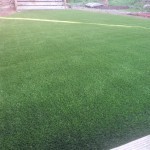 San Diego Chula Vista, Astro Turf San Diego