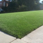 Artificial Grass For Backyard San Diego, Artificial Grass Installation Chula Vista