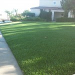 Synthetic Lawn San Diego, Chula Vista Artificial Lawns