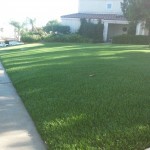 Synthetic Lawn San Diego, Chula Vista Artificial Lawns