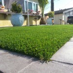 Artificial Grass For Home Chula Vista, Fake Grass For Dogs San Diego