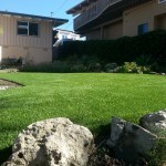San Diego Synthetic Turf, San Diego Chula Vista